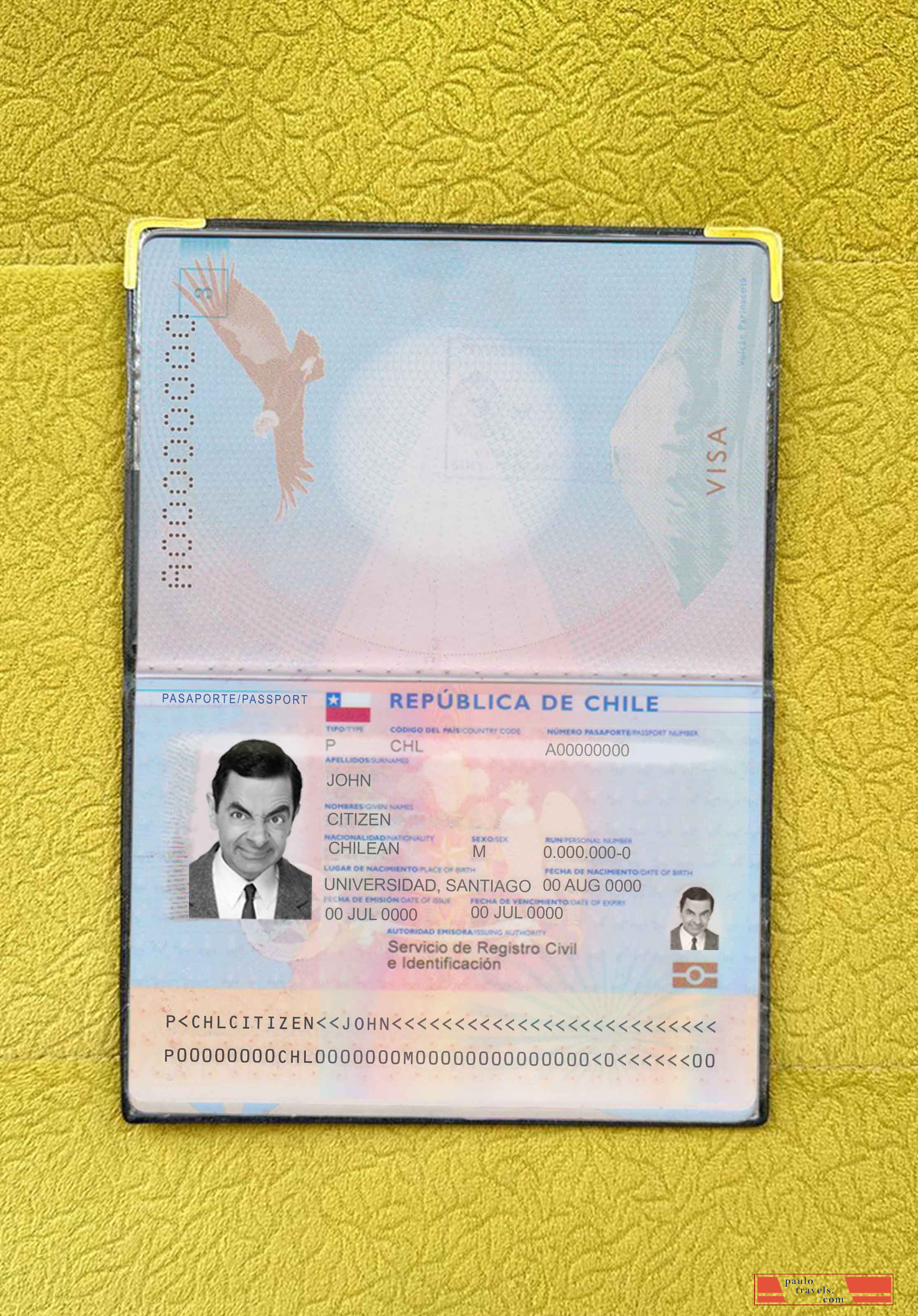 Chile passport photo look PSD template